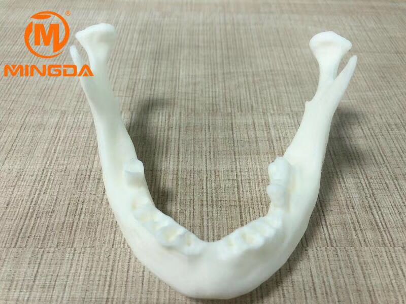工業(yè)級3D打印機在牙科行業(yè)的應(yīng)用(圖2)